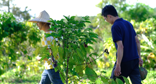 Vườn Chị La - Lazy Village