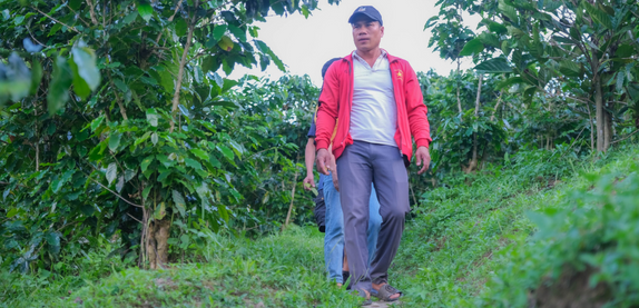 Vườn Hoàng Luận